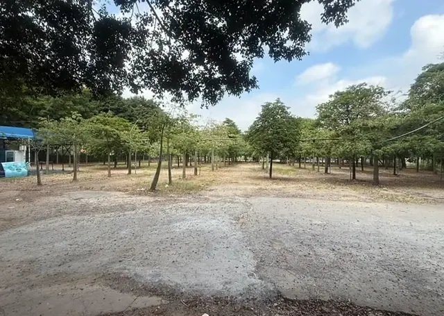 停车场与楼体关系